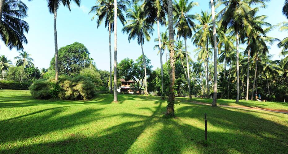 Teak Town Homestay, Nilambur 3